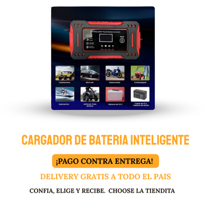 CARGADOR DE BATERIA INTELIGENTE 12 V