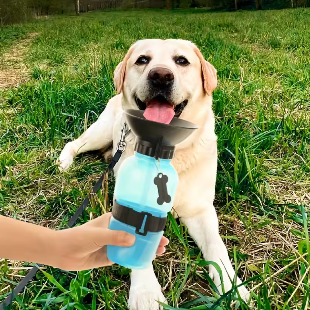 RECIPIENTE DE AGUA PORTÁTIL AQUA DOG 18 OZ