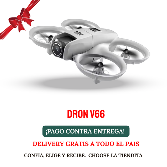 DRON V66
