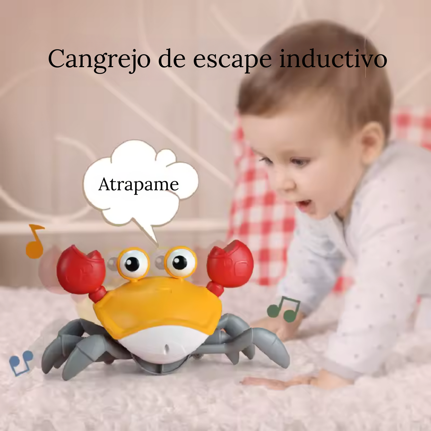 RED CRAB IDEAL FOR MOTIVATING BABIES IN THE CRAWLING STAGE