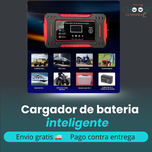 CARGADOR DE BATERIA INTELIGENTE 12 V