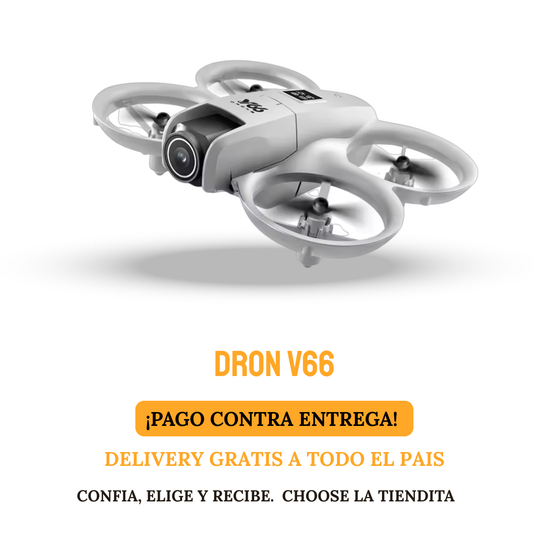 DRON V66